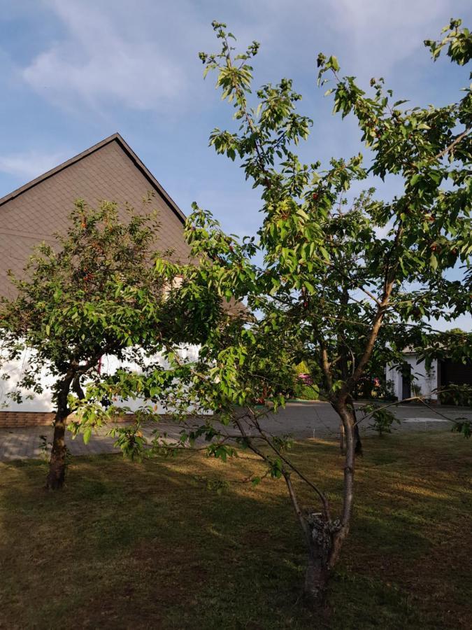 Casa Natur Medebach Eksteriør bilde
